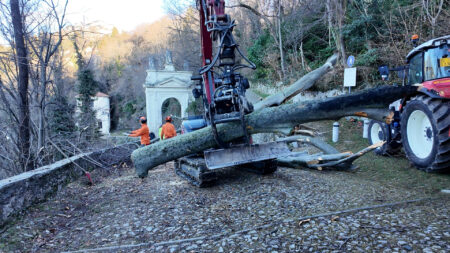 Varese: Faggio crollato al Sacro Monte, “È andata bene”