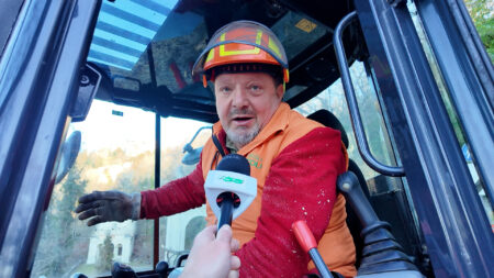 Varese: “Rimuoviamo il faggio caduto al Sacro Monte”