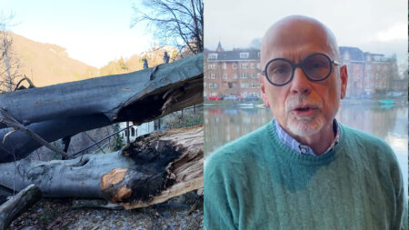 Varese: Zanzi: “Faggio? Poca cura, ma il bosco va salvato”