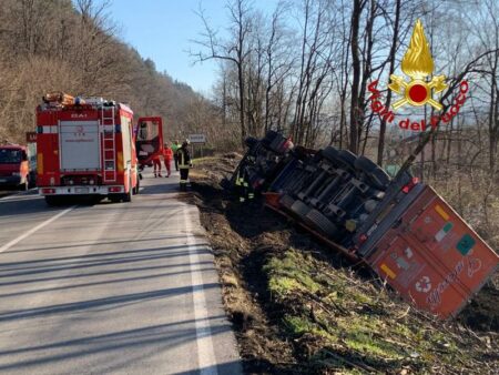 Montegrino: Bisonte della strada a testa in giù