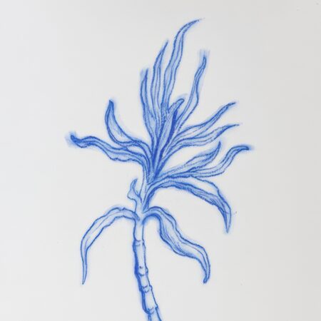 Ligornetto: Al Museo Vela l'opera di Ishita Chakraborty