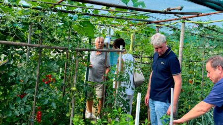 Varese: Orti urbani, online il bando per le concessioni