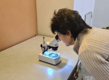 Busto: Tessile al microscopio per una domenica al museo