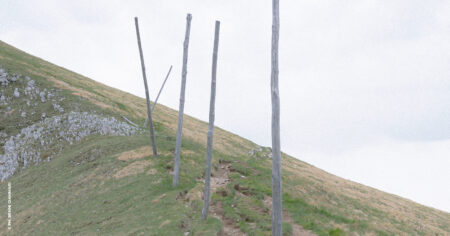 Busto A.: Festival Fofografico Europeo, nuove inaugurazioni