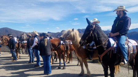Varese: A Cavallo verso Roma per l’anno del Giubileo