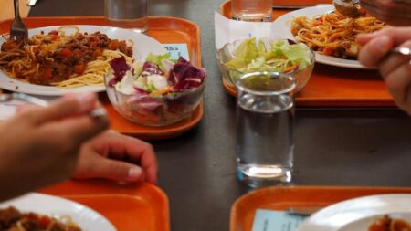 Gallarate: Intossicazione a scuola, risponde la tecnologa