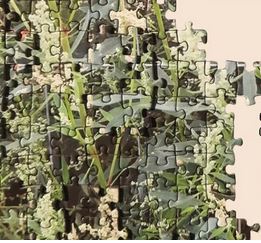 Monza: "Natura morta” in mostra a villa Contemporanea