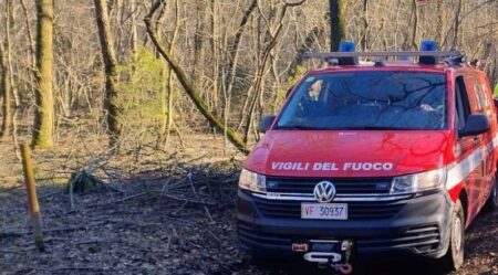 Castello C.: Cadavere nel bosco, indagini in corso