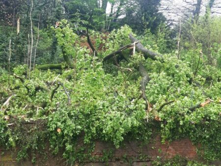 Gallarate: Prociv in prima linea per la sicurezza in città
