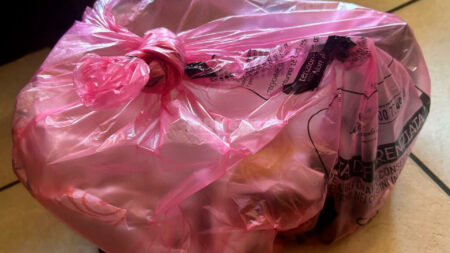 Varese: Raccolta rifiuti, stessi costi dello scorso anno