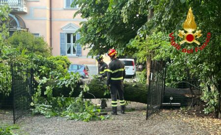 Varese: Maltempo, la solita strage di alberi