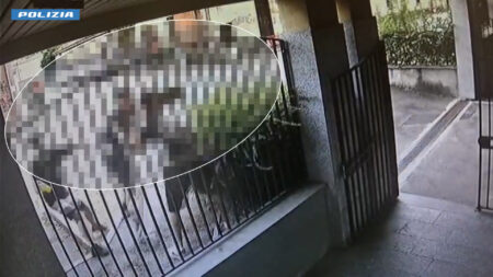 Gallarate: 26enne fermato, ecco il video dell'accoltellamento