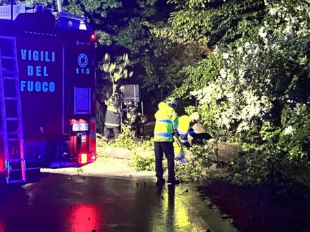 Buguggiate: Piante al suolo, Vigili del Fuoco sul posto