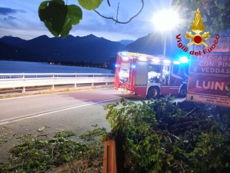 Maccagno: Piante sulla ss394, soccorsi sul posto