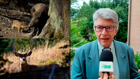 Luvinate: ASFO, Campo dei Fiori: “Abitiamo con gli animali”