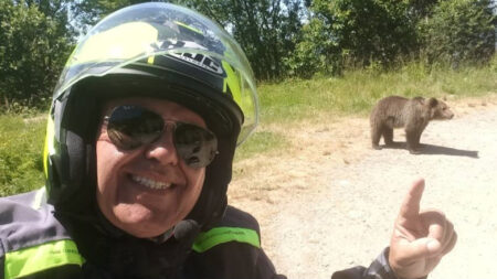 Samarate: Choc per la morte di Omar, sbranato dall'orsa