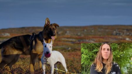 Cardano: Cani “da salvare” con un test di affidabilità