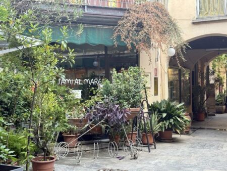 Busto: Gorla, muro di piante contro il "turismo macabro"