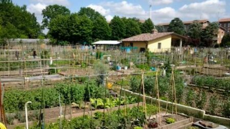 Gallarate: Assegnati gli orti urbani, 79 richieste su 97