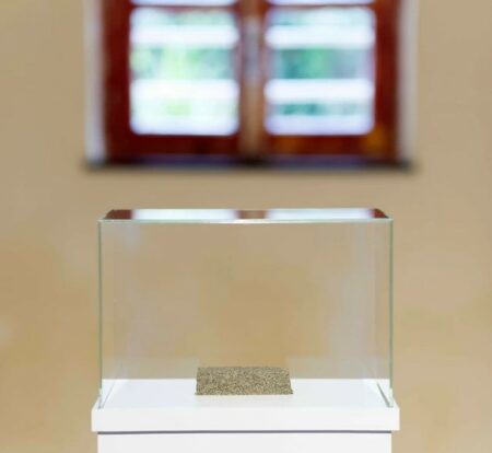 Albisola: “Mattoncino”, Liliana Moro alla Galleria Cortese