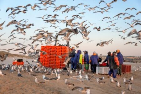 Genova: Al Galata “l’Arte che salva l’ambiente”