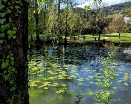 Lonate P.: Concorso Fotografico World Trade Center Malpensa