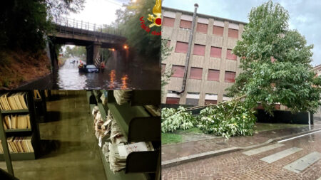 Busto: Maltempo, danni a biblioteca e paulownia