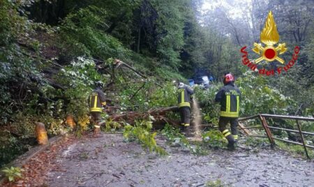 Maccagno: Alberi sulla provinciale, rimozione in corso