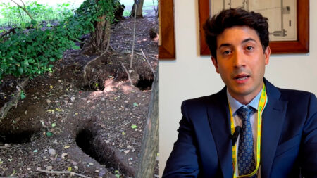 Varese: Coldiretti, “Fauna selvatica, una piaga agricola”