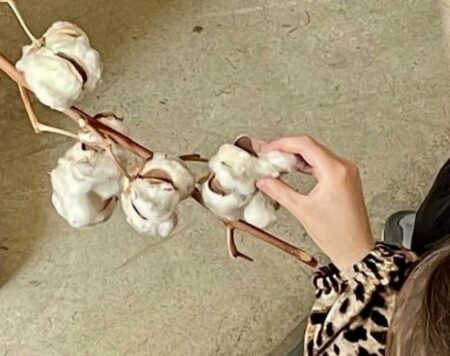 Busto: Tessile, un museo da toccare con mano