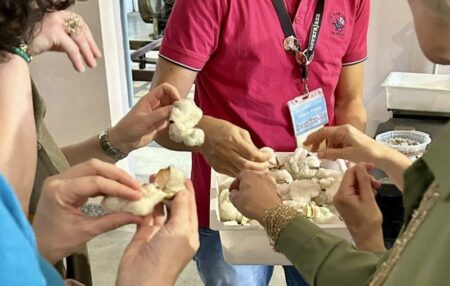 Busto: Ricordi per un anno, ciclo d’incontri concluso