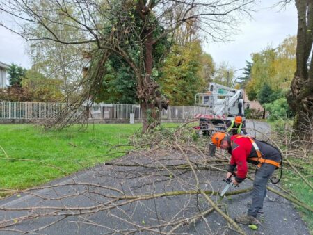 Gallarate: Cure ai gelsi secolari, Gnocchi “Alleluja”