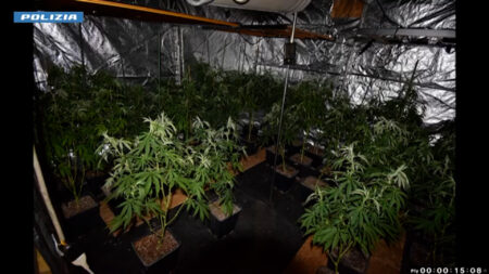 Cadrezzate: Da fabbrica a "fiera della droga", un arresto