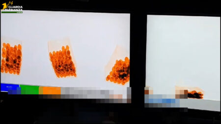 Malpensa: Chili di eroina dal Pakistan, 7 arresti