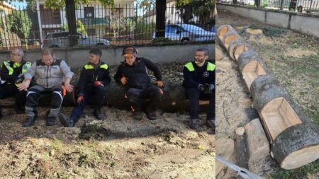 Cassano: Un albero diventa panchina per i bimbi