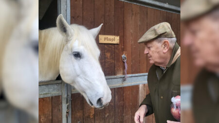 Varese: Sentom, l’uomo che sussurrava ai cavalli