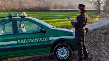 Brissago V.: Abbandona rifiuti nei boschi, multa da 4.500 euro