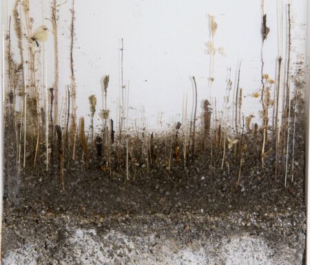 Milano: Enzo Fiore e la natura ritrovata a Palazzo Pirelli