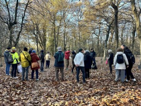 Busto: “Cammina foreste urbane” alla (ri)scoperta del Pam