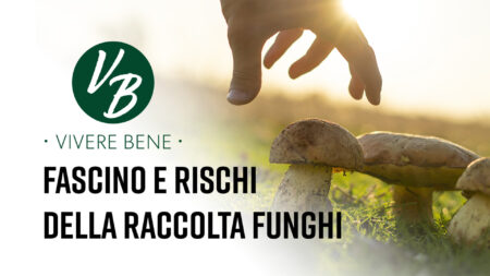Fascino e rischi della raccolta funghi - Vivere Bene