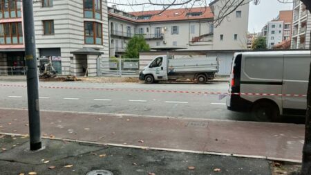 Gallarate: Festa dell’albero, giù i ciliegi in zona stazione