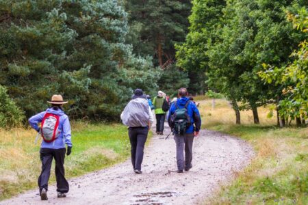 Busto: Legambiente, “Cammina Foreste Urbane al Pam”