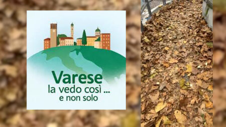Varese: In via Dandolo uno (spesso) tappeto di foglie