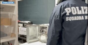 Varese: Cannabis e "cannoni", sequestri e denunce