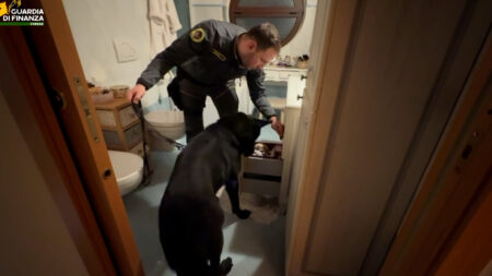 Varesotto: Droga, armi e minacce: sei arresti della GDF