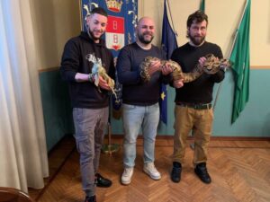 Busto: E-Work Arena, “invasione” di serpenti e camaleonti