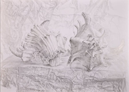 Modena: Alla “Arte su Carte” inaugura Roberto Stelluti