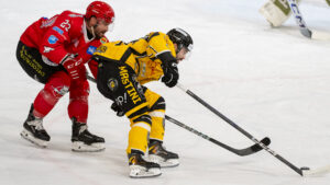 Hockey: Bastille fa ruggire di nuovo i Mastini. Pergine ko