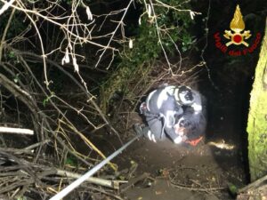 Montegrino: Cane nel dirupo, soccorritori in azione