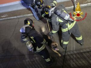 Busto: Incendio in casa, salvo residenti e cane